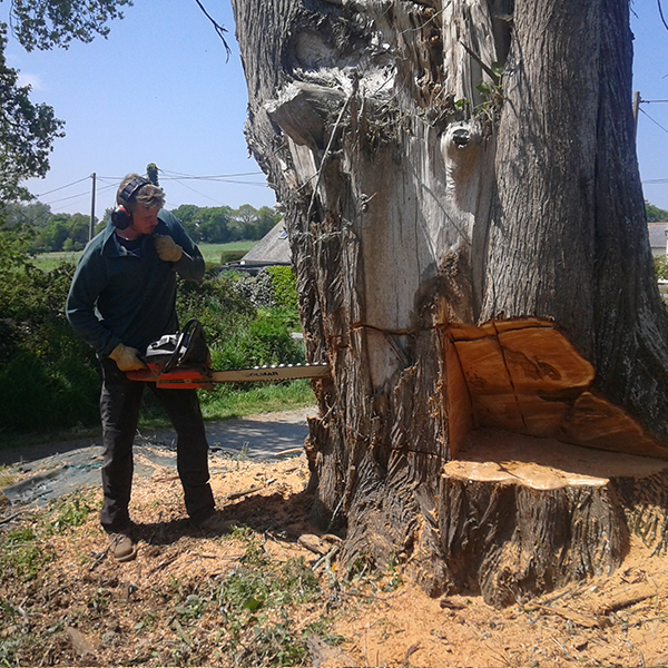 abattage d'arbre délicat dans les côtes-d'Armor 22