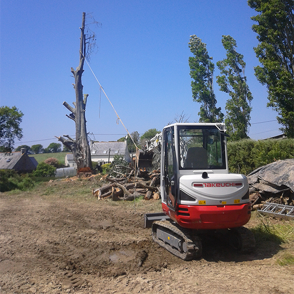 abattage d'arbre délicat dans les côtes-d'Armor 22