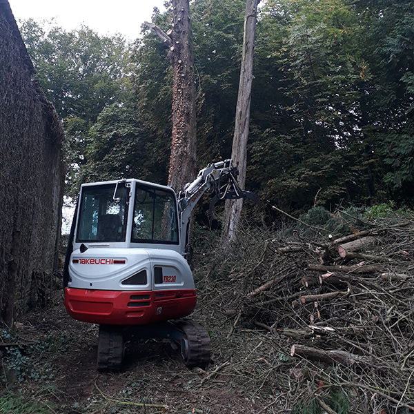 abattage d'arbre et défrichage dans les côtes-d'Armor 22