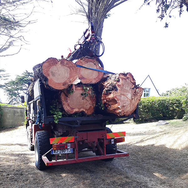 abattage d'arbre délicat dans les côtes-d'Armor 22