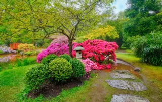 Jardin japonais par une entreprise de Runan 22