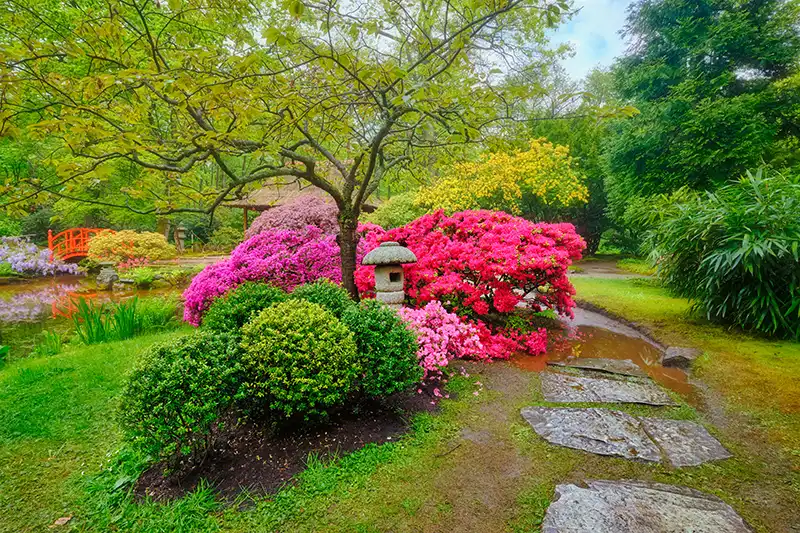 Jardin japonais par une entreprise de Runan 22