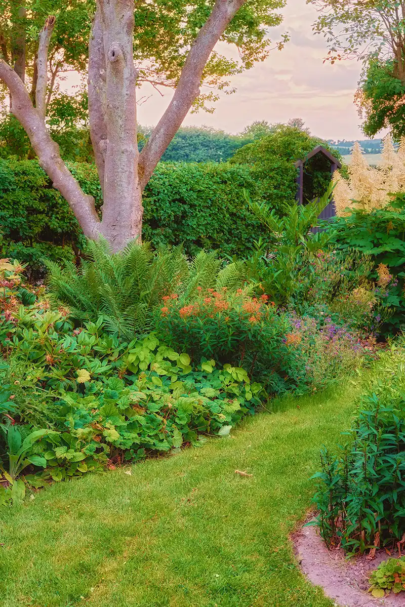 Un jardin tendance un peu sauvage